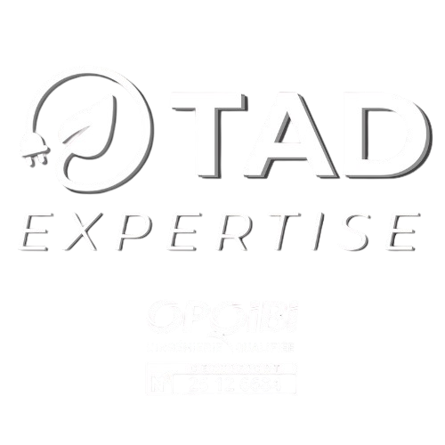 TAD Expertise | Diagnostics immobiliers à Dijon